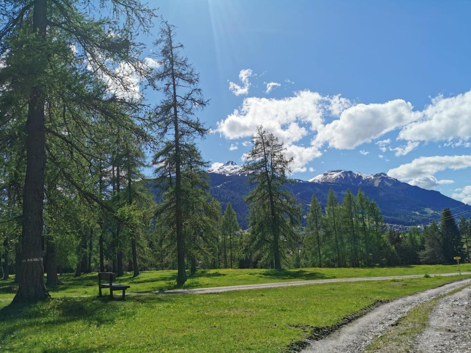 Tiroler Alpblick Appartements エールヴァルト エクステリア 写真