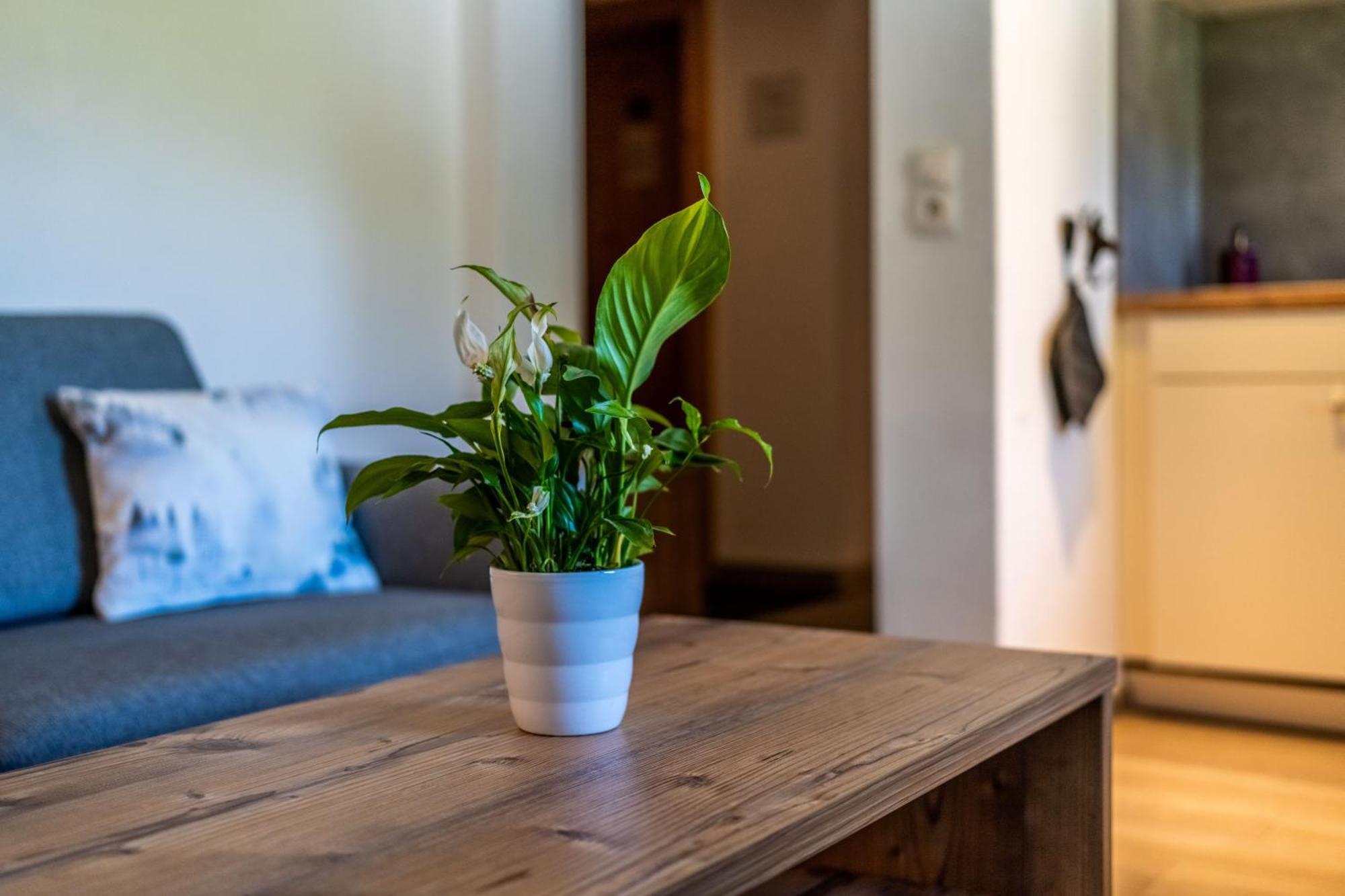 Tiroler Alpblick Appartements エールヴァルト エクステリア 写真